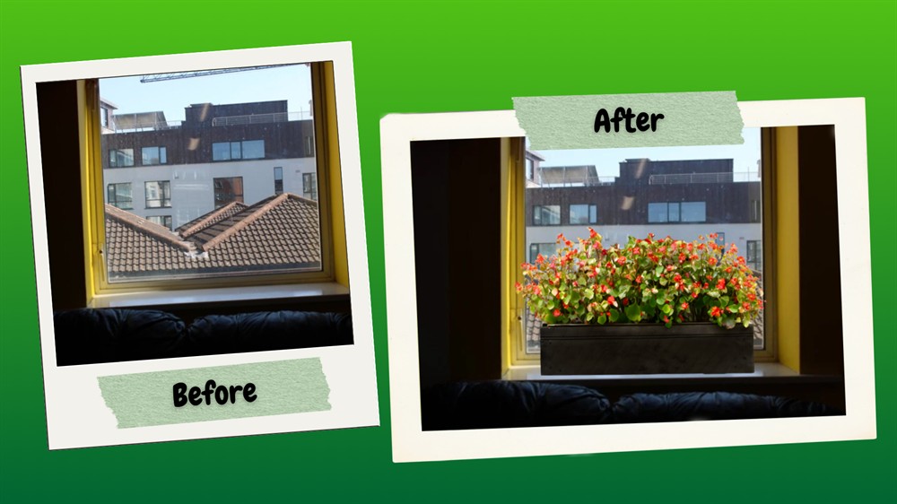 Internal window box